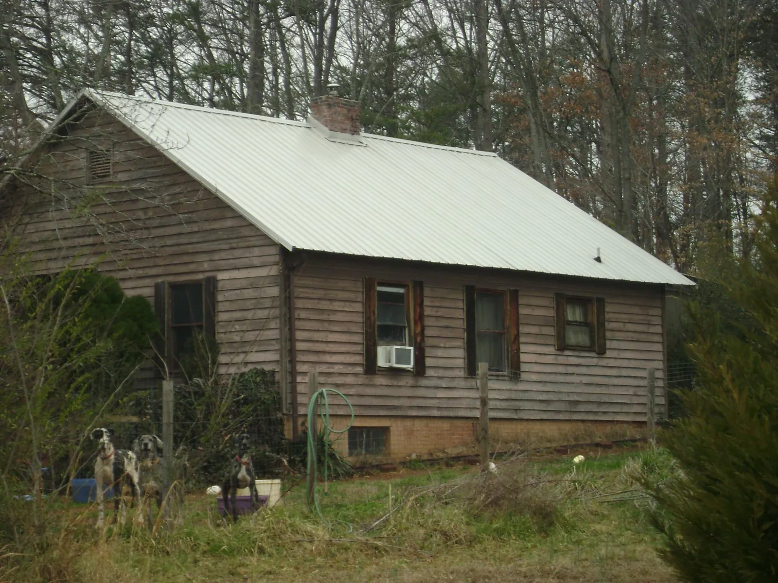 White metal roof on an old wood sided farmhouse, from a Asphalt Shingle Roof Repair job in Monrovia
